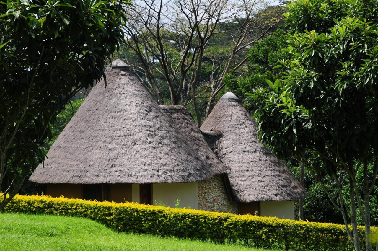 Kibale Guest Cottages Fort Portal Eksteriør billede