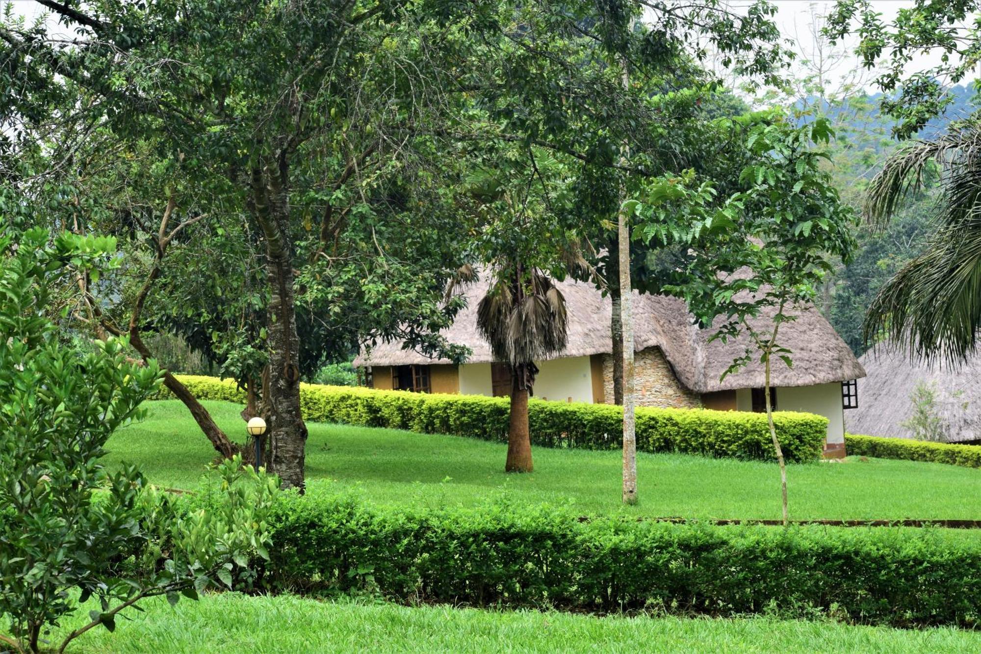Kibale Guest Cottages Fort Portal Eksteriør billede